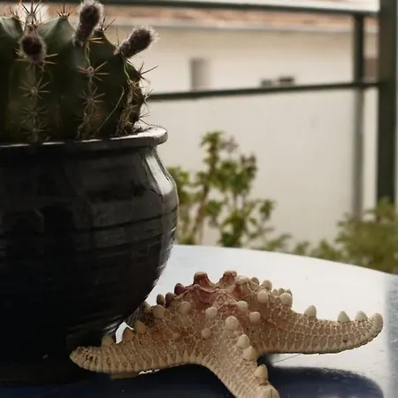 Apartamento B2 - The Cozy One Egio