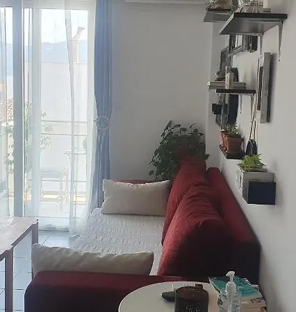B2 - The Cozy One